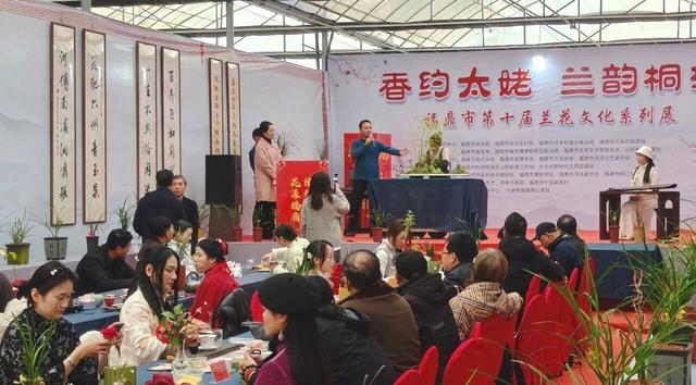 相约太姥 兰韵桐江｜福鼎市第十届兰花文化展开幕，共赴春日雅集
