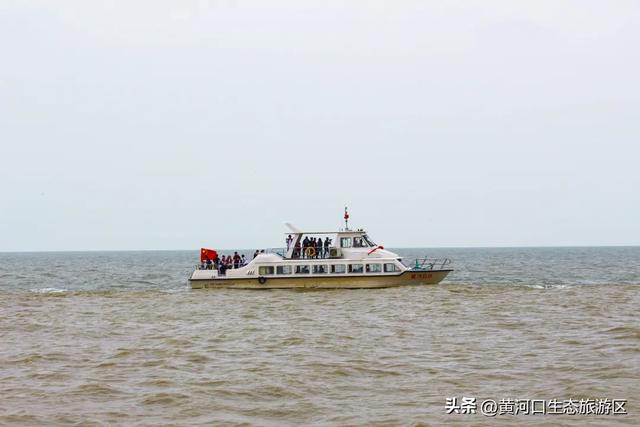 黄河口七夕漫游指南：与你赴一场湿地飞鸟与落日的浪漫之约