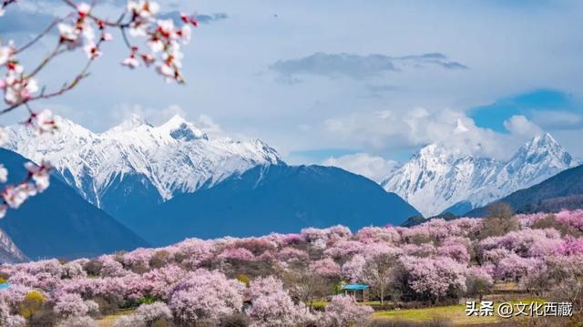哇塞！西藏这里美出天际！冰川彩林，美成仙境！