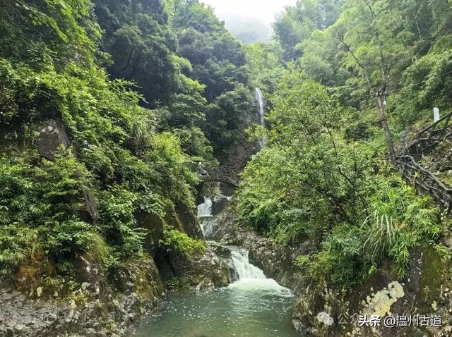 藏在浙南九寨沟里的红色秘境!可亲子徒步,在清溪飞瀑里寻凉意!
