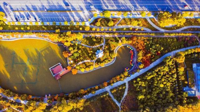 冬日限定｜临夏的初冬，是写满诗意的“人间治愈”