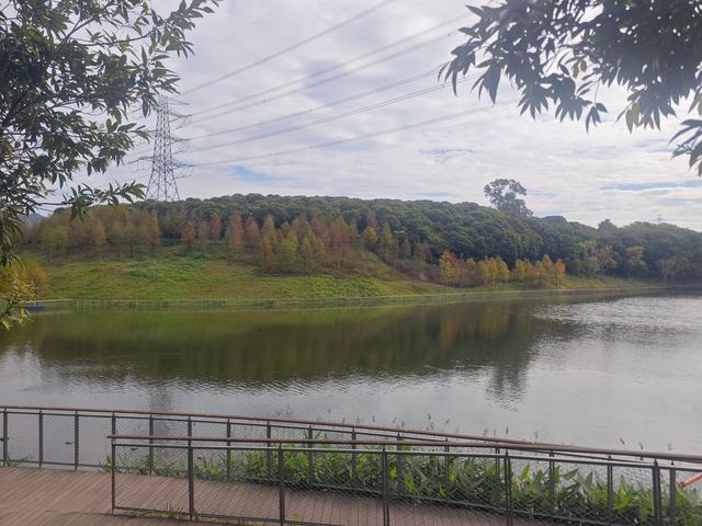 环西丽湖绿道骑行慢行随拍-动个好奇心