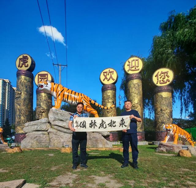 著名文化学者张龙哈尔滨打卡，邀客共品龙江风情