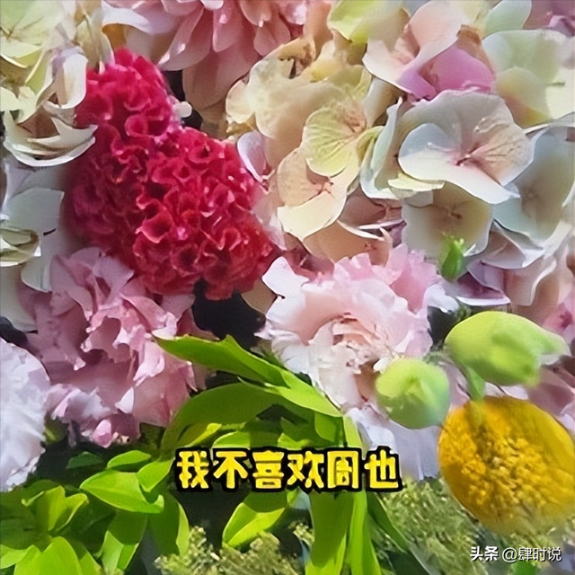 李湘回京机场被拍，200斤体态行动笨拙，前夫帮拎箱气氛超融洽