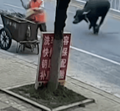 远离禽兽