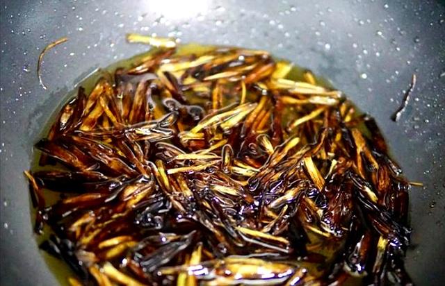“秋天吃一根！腿脚站稳根”，立秋后遇到买十斤腌起来，好吃下饭