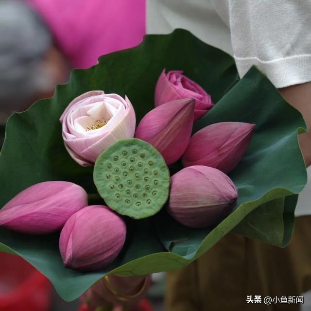 宠宠宠！“苏超”福利再升级，淮安市民速收！