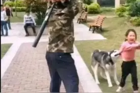 不牵绳遛狗咬伤人，民事行政刑事三重责任警告图片