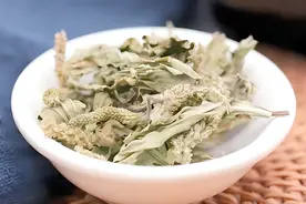 “车前草”是个宝，用它来泡水喝，或可以帮助解决这5个问题图片