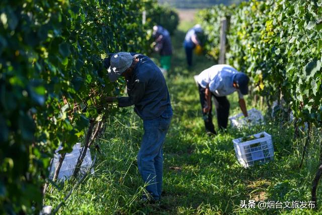【乐享烟台】烟台两案例入选省生态旅游典型！蓬莱丘山谷、莱阳濯村双双上榜