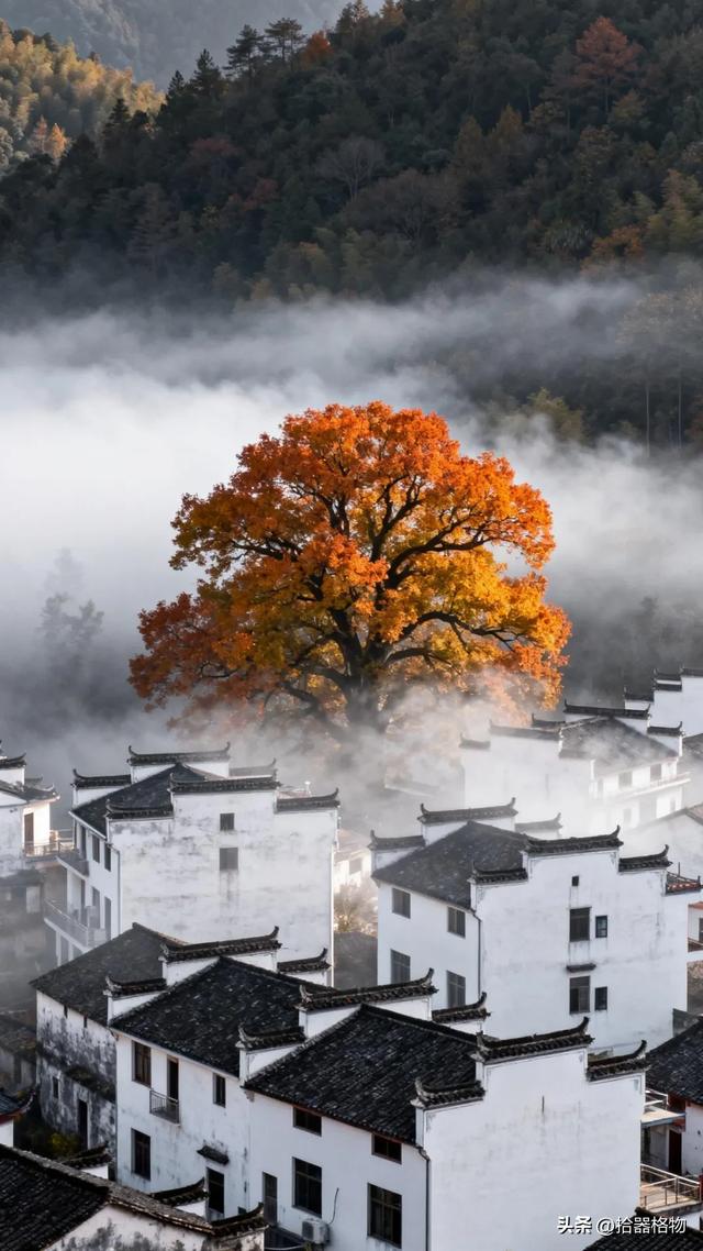 秋日村落：时光深处的静美画卷