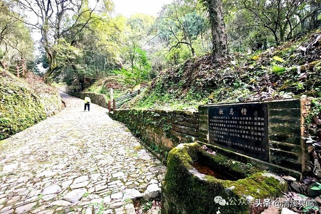 千年风雨中的文明通途——梅关古道
