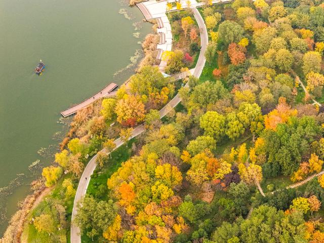 初冬访复圣文化园：与色彩和哲思对话