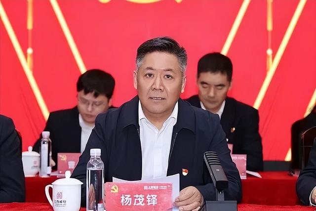 城投集团董事长被查！