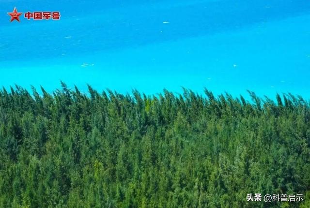 切开400万吨海水，半年吹填200万平方米！南海造岛背后有何秘密？
