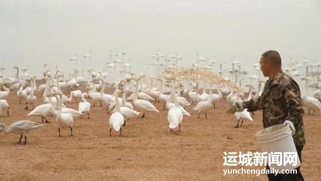 “淡季不淡”，运城文旅持续火热