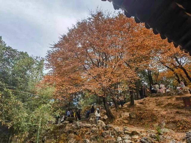 颐和园最不该错过的两个景点