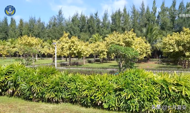 美济岛湿地公园，公园面积不小，是我国南沙群岛首个海上湿地公园