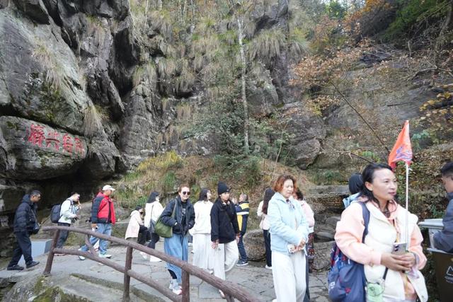 “浔”梦诗画九江——2025 年新加坡马来西亚旅行商考察团深度行走进庐山