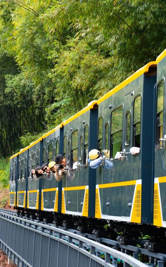 带爸妈出发！邛崃银发康养游线路来啦~