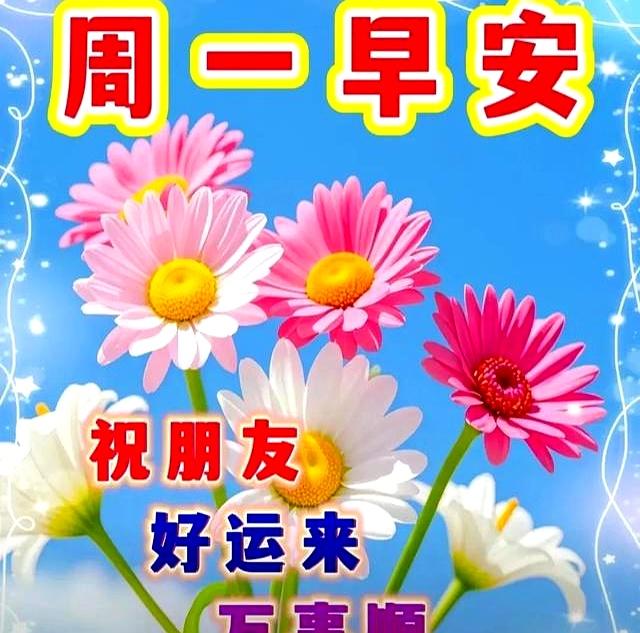 周一早安问候语每日更新，清晨的第一句问候送给您，愿您生活所愿