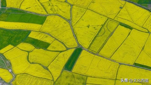 人间绝色！拉萨！拉萨！