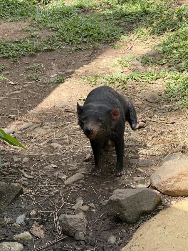 澳大利亚22日世界文化遗产与自然之旅游记+攻略