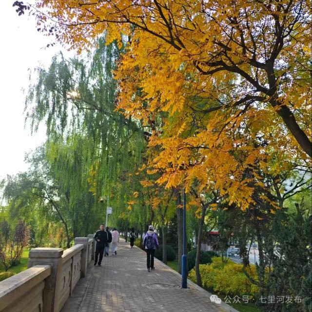 在七里河,读懂一座城的温度