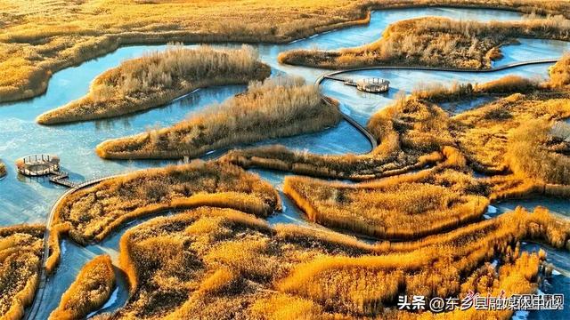 好美！张掖黑河湿地冬日披金景色如画