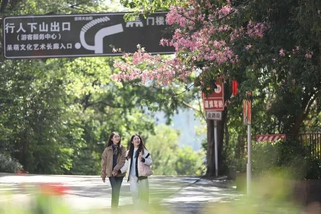 别等了！东莞观音山限定五彩皮肤已上线，速来解锁一年好运