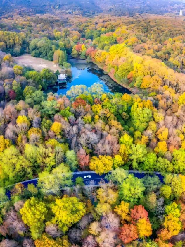 走,到钟山风景区找“对象”去!