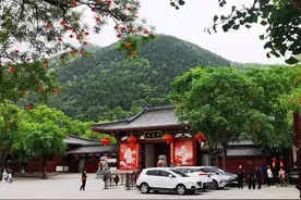 免费！折扣！一大批景区福利来了图片