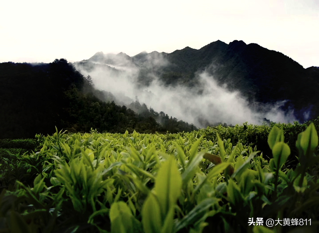 认识大美广东的每个县——第14波：大埔（bù）