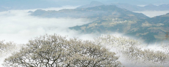 广西天峨县历史沿革及行政区划
