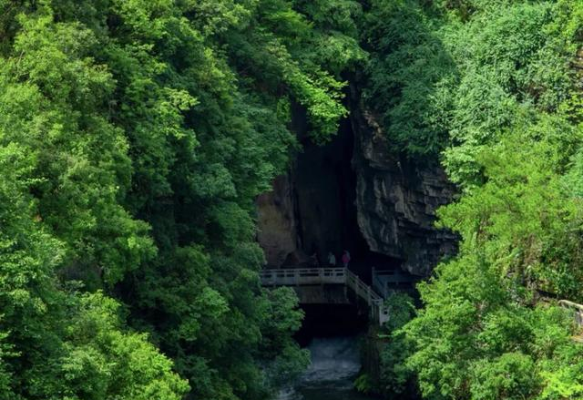 上个月去了趟贵州，我说句不中听的：素质这块，被骂得有点冤