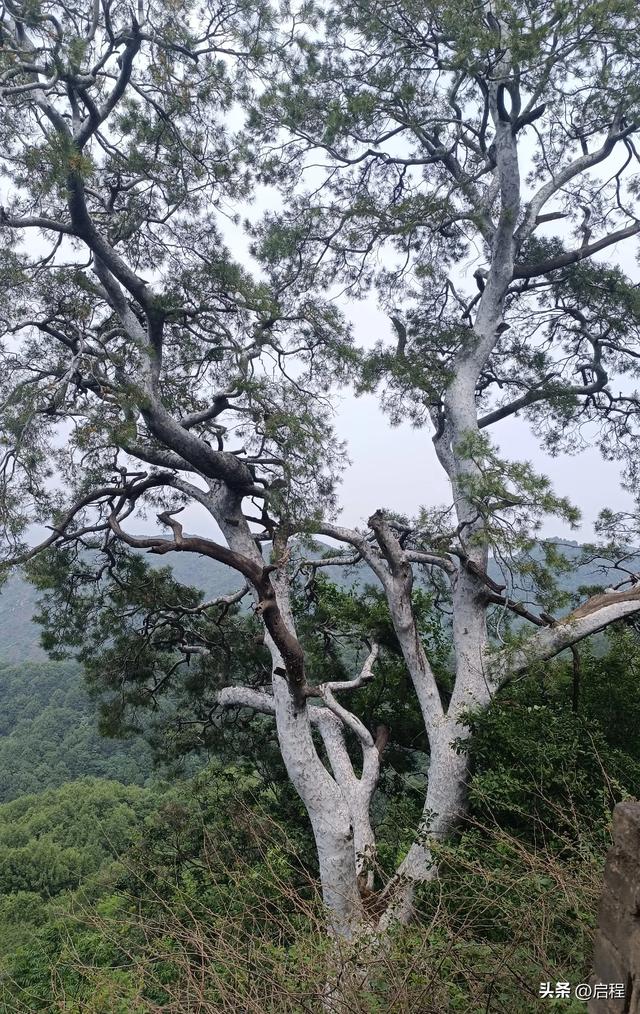到青华山看千年卧佛,一路上垃圾随处可见
