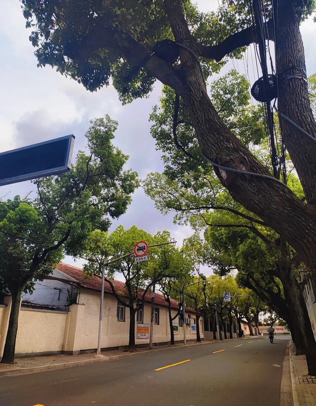 天啊！我发现了上海最“寂寞”的公园，免费还地铁直达！