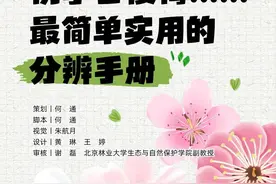 别再认错啦！桃、李、杏、樱、梅花的快速分辨秘诀，1分钟搞定！图片