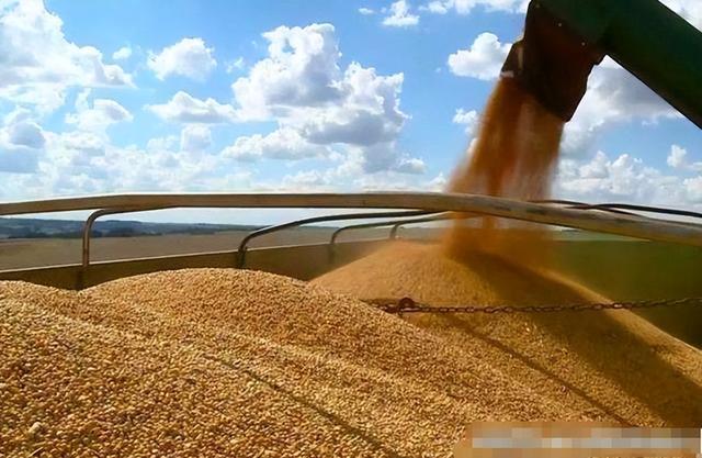 巴西大豆坐地起价？对华报价疯涨，中国买家集体停购：等两个时机