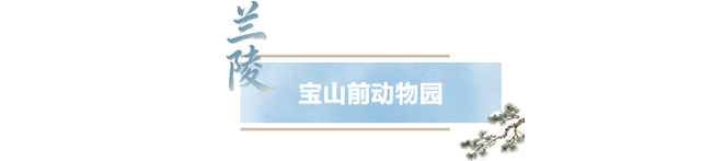 临沂人游临沂｜赶兰陵千年大集，赴一场烟火与诗意的约会