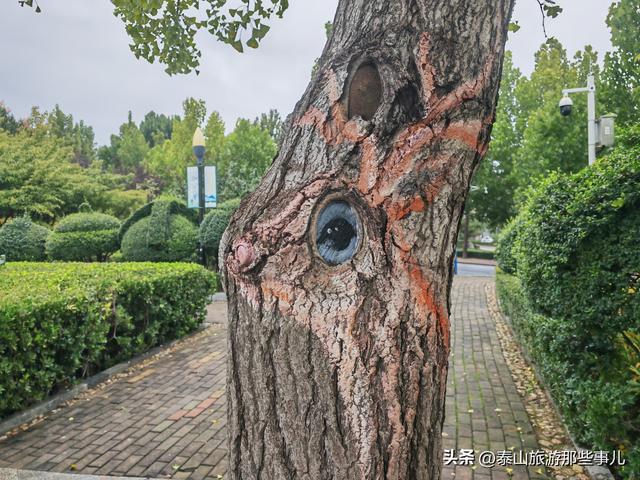 泰安：泰山下有一个免费的游园，2小时逛完，藏着泰城萌趣的一面