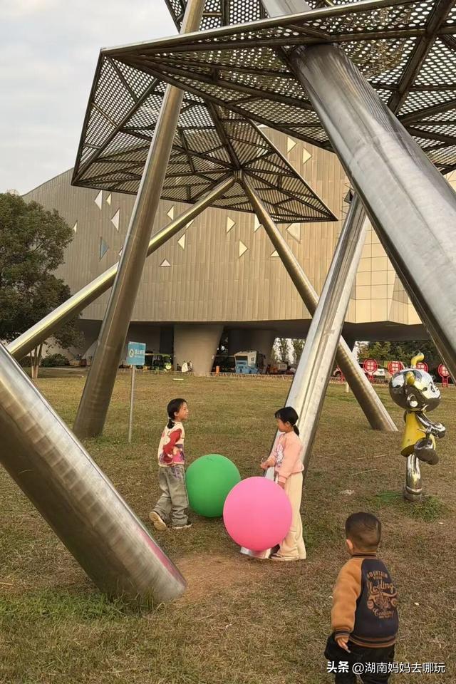 冬日遛娃就去长沙“济州岛”！水杉染红，芦苇摇浪，0元解锁 “橘子海” 日落