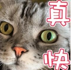 支付宝 “ 集五福 ” 今年玩法再升级！有人第一天就分到 168 元？