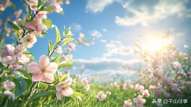 别等失去才懂珍惜！那段陪我骑行的时光，成了我余生不敢触碰的疤