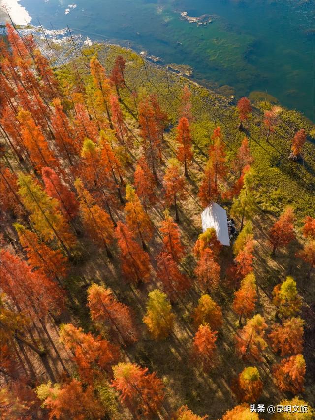 初冬氛围感出片计划，走起！昆明这份打卡攻略速速收藏→