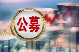 越伤越爱！公募量化深信，微盘股仍有春天图片