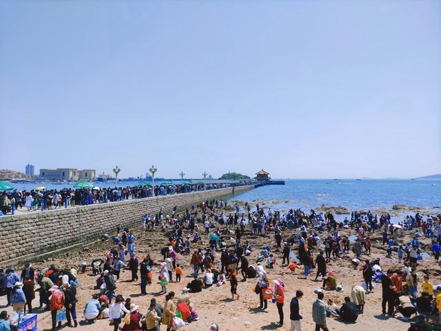 这是一篇中国人去日本i夕事