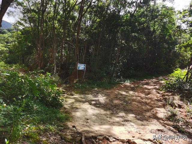 陆丰白水寨溯溪