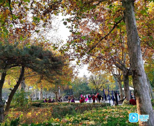 “潍”美游园 “坊”间探幽 | 沐春园：这里藏着市民的惬意日常