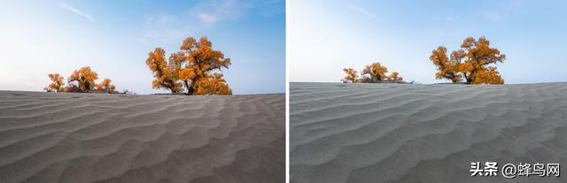 南疆寻秋--富士GFX100 II刻画南疆的雪山、沙漠与胡杨